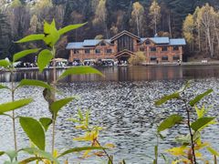 -五营红松林海景区