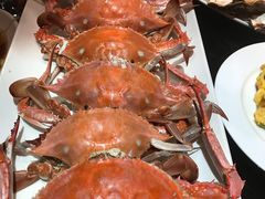 -开海·红岛海鲜虾水饺(石老人店)