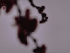 -杭州城北体育公园