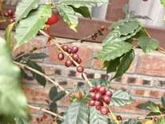 -后谷咖啡(建设巷店)