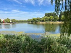 -稻香湖景欢乐岛温泉城堡