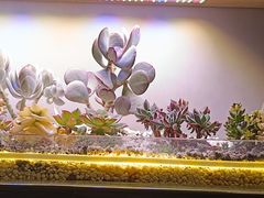 -街角等你.大连海鲜烧烤(西安路店)