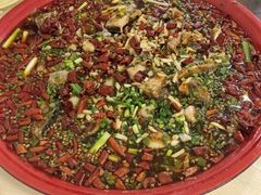 -东吴霸王兔(松青路店)