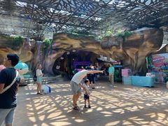 -杭州开元森泊度假乐园