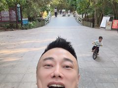 -大屏嶂森林公园