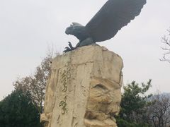 -北京鹫峰国家森林公园