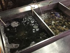 -渔家火锅·海鲜自助餐·演艺(亚龙湾天域酒店)