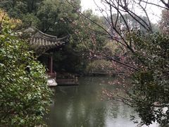 -汇龙潭
