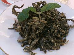 -解家河南菜(北环路店)