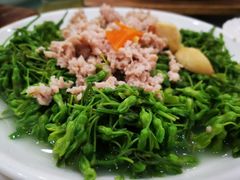 -寻味顺德·南记酒家·传统顺德菜·鱼生(广源路店)