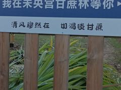 -汉长安城未央宫国家考古遗址公园