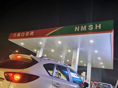 -中国石化南门石化加油站(和平中路)