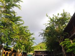 -海南槟榔谷黎苗文化旅游区
