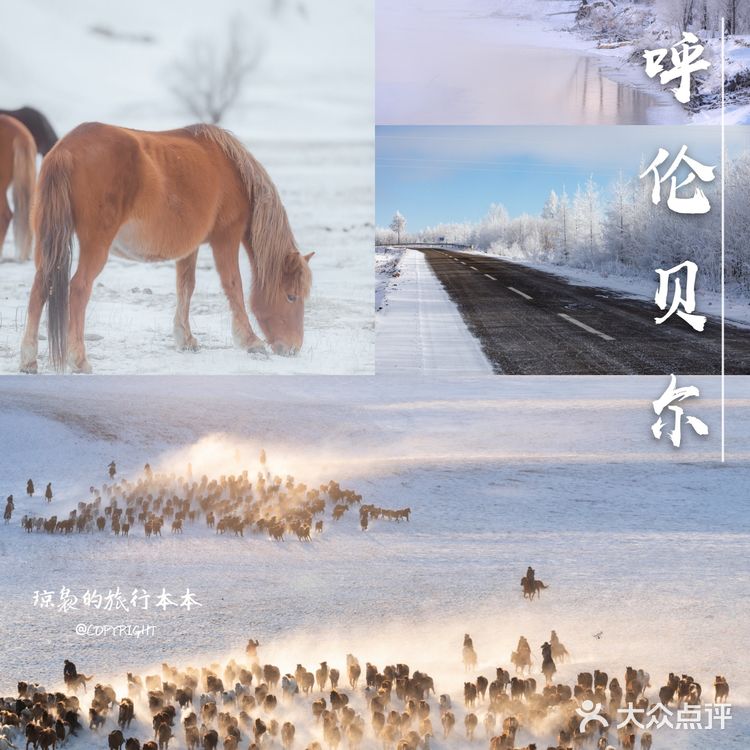 国内7个赏雪宝藏旅行地❄️冬季旅行攻略√