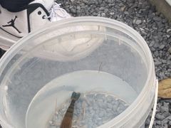 -DGE季风钓虾营地·团建·聚会