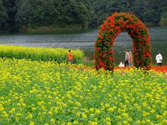 -广州市石门国家森林公园
