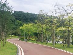 -飞凤山奥体公园