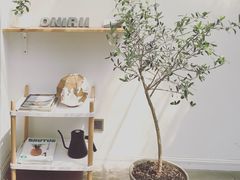 -Onirii Coffee(长乐路店)