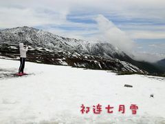 -大冬树山垭口