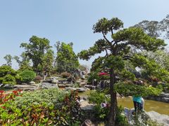 -东莞植物园