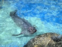 -太平洋海底世界