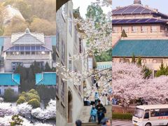 -武汉大学-樱园