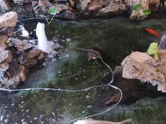-岳阳楼