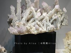 -中国地质博物馆