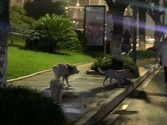 -桐庐开元名都大酒店