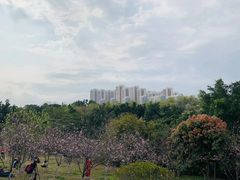 -聚龙山公园