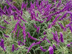 -汉长安城未央宫国家考古遗址公园