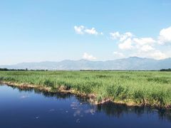 -野鸭湖国家湿地公园