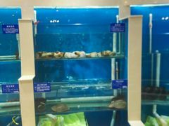 水产区-福泉海码头(六里山店)