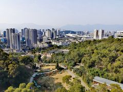 -金鸡山公园