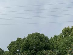 -塘栖枇杷特色园区