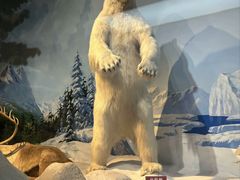 -陕西自然博物馆