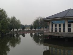 -平望服务区·停车场