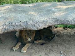 -北京野生动物园