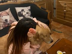 -火车头法国西餐厅