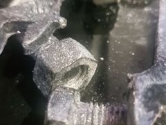 -喝丢一只鞋海鲜烧烤·海肠捞饭(市场店)