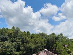 -广州白江湖森林公园