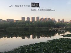 -前关湿地公园