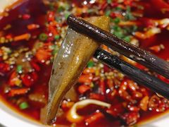 毛血旺-庆合府重庆大排档(紫都城店)