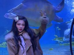 -左海海底世界