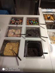 -朵莉丝希腊冻酸奶