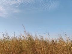 -海堤纪念公园