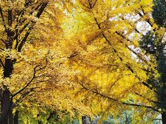 -国家植物园南园