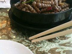 尖叫长钉螺-老虎滩船说·海胆水饺·大连海鲜(老虎滩店)