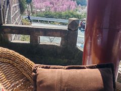 -桃源山庄·水蜜桃采摘·柴火鸡·烧烤团建(龙泉山店)