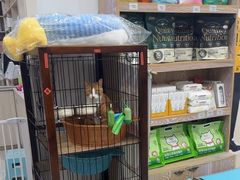 -四月宠物医院·猫专科·心脏专科·内科(转塘店)